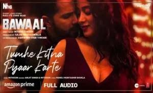 tumhe kitna pyaar karte lyrics by manoj muntashir shukla from bawaal movie