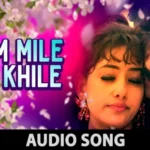Tum Mile Dil Khile Lyrics