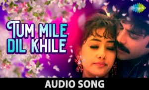 Tum Mile Dil Khile Lyrics